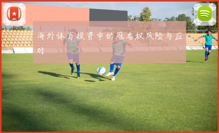 海外体育投资中的冠名权风险与应对