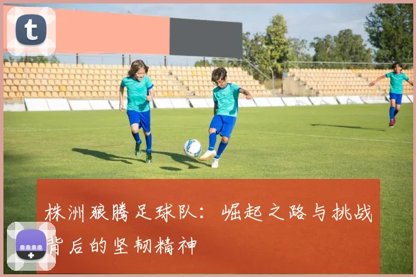 株洲狼腾足球队：崛起之路与挑战背后的坚韧精神