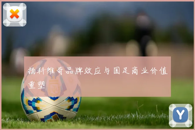 扬科维奇品牌效应与国足商业价值重塑