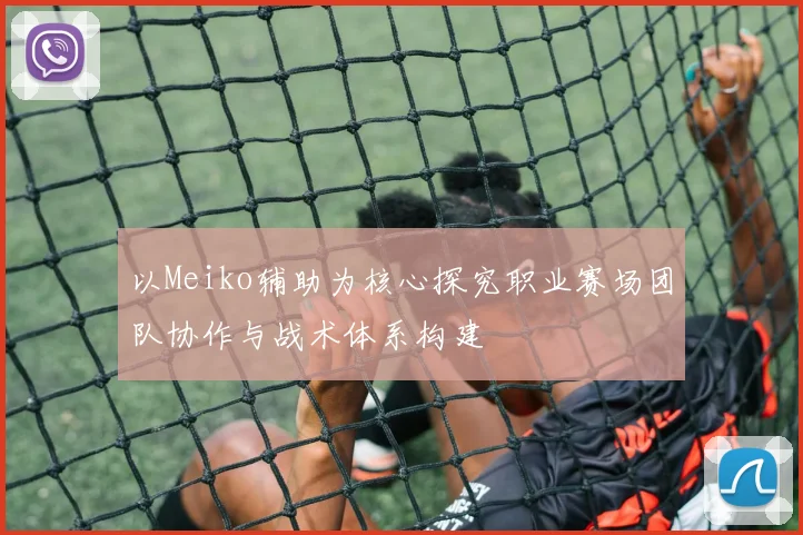 以Meiko辅助为核心探究职业赛场团队协作与战术体系构建