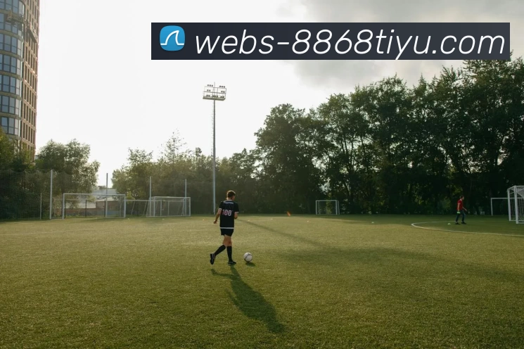 App Interface Preview